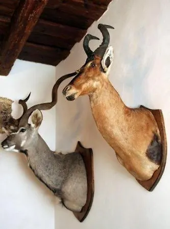 Zamek Zabreh & Pivovar 4* オストラヴァ
