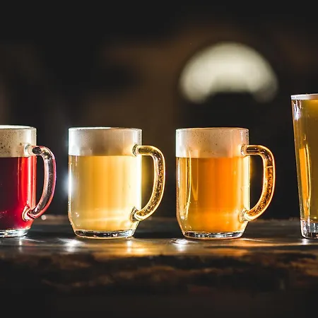 酒店 萨默克城堡酒店 4*