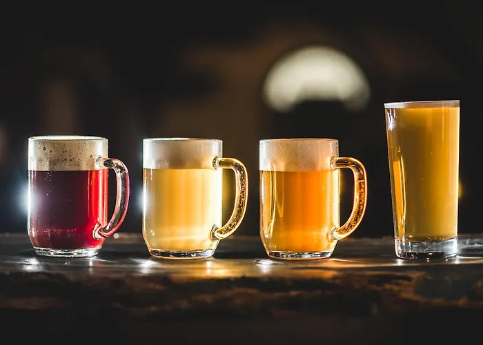 호텔 Zamek Zabreh & Pivovar 4*